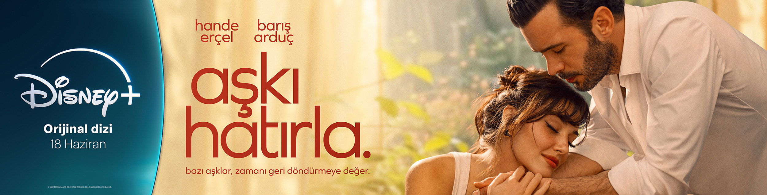 Mega Sized TV Poster Image for Aski Hatirla (#3 of 12)