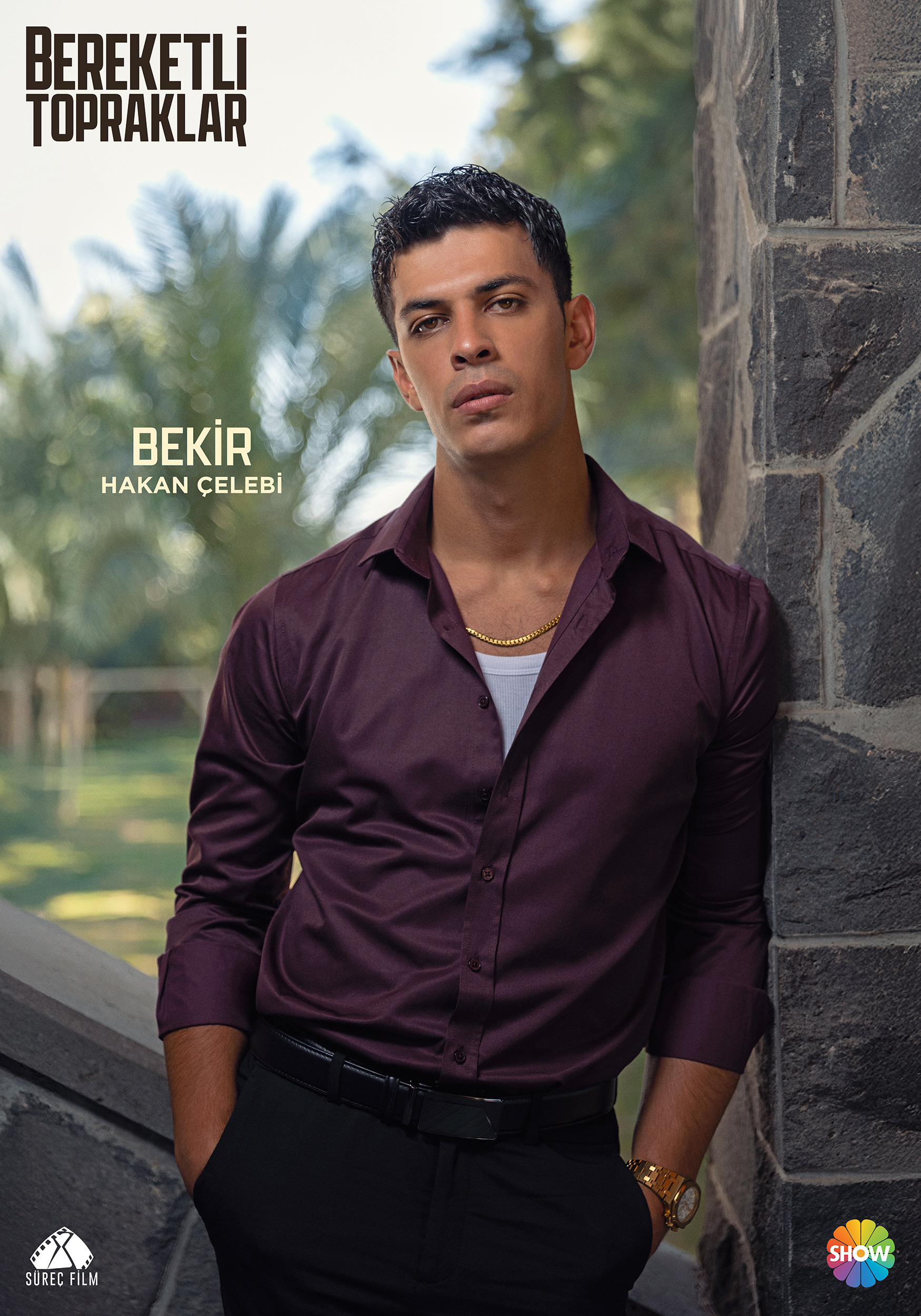 Mega Sized TV Poster Image for Bereketli Topraklar (#13 of 15)