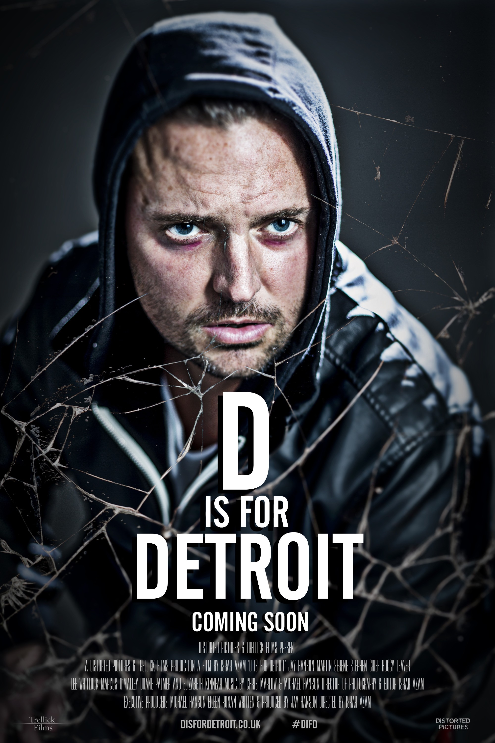Mega Sized Movie Poster Image for D is for Detroit (#1 of 2)