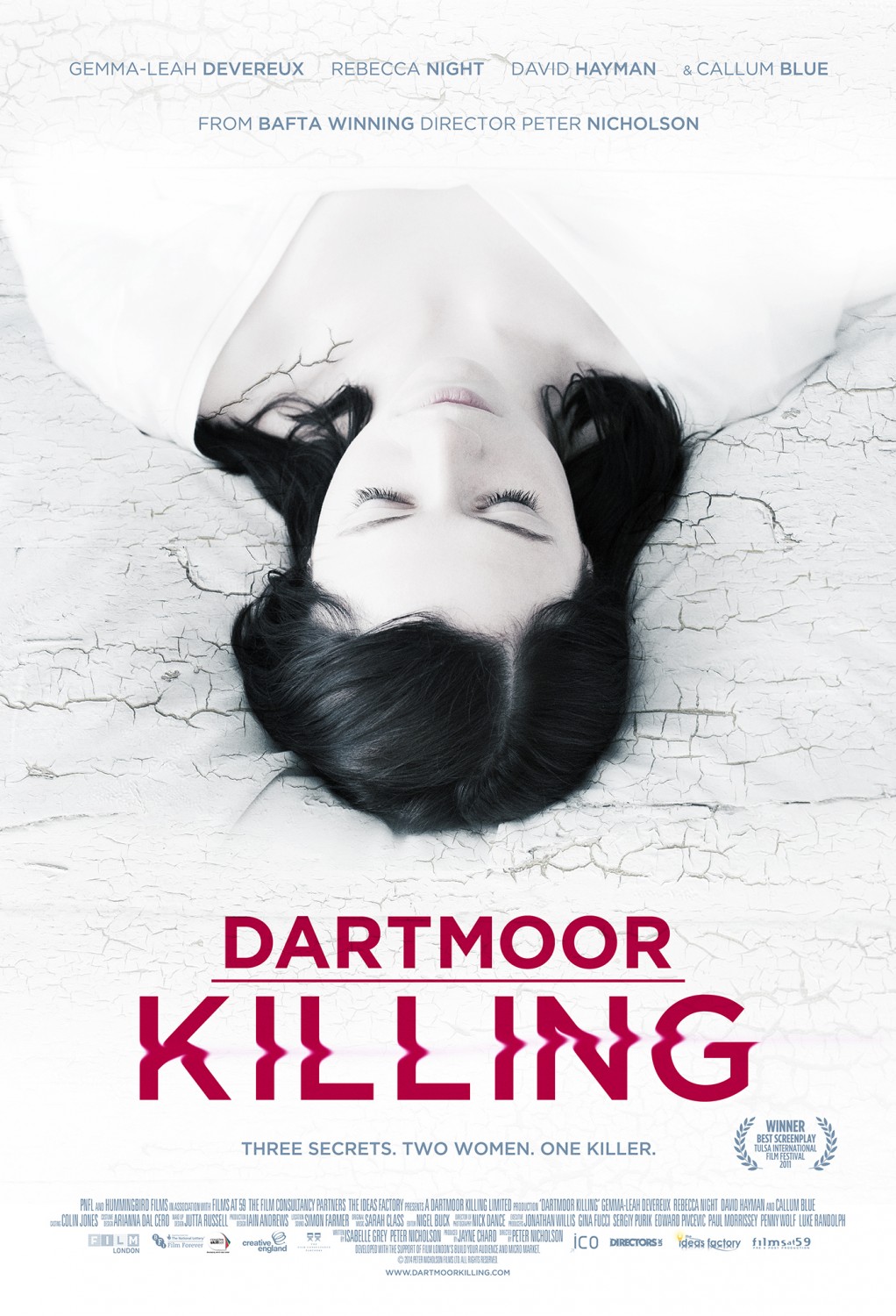 Extra Large Movie Poster Image for Dartmoor Killing 