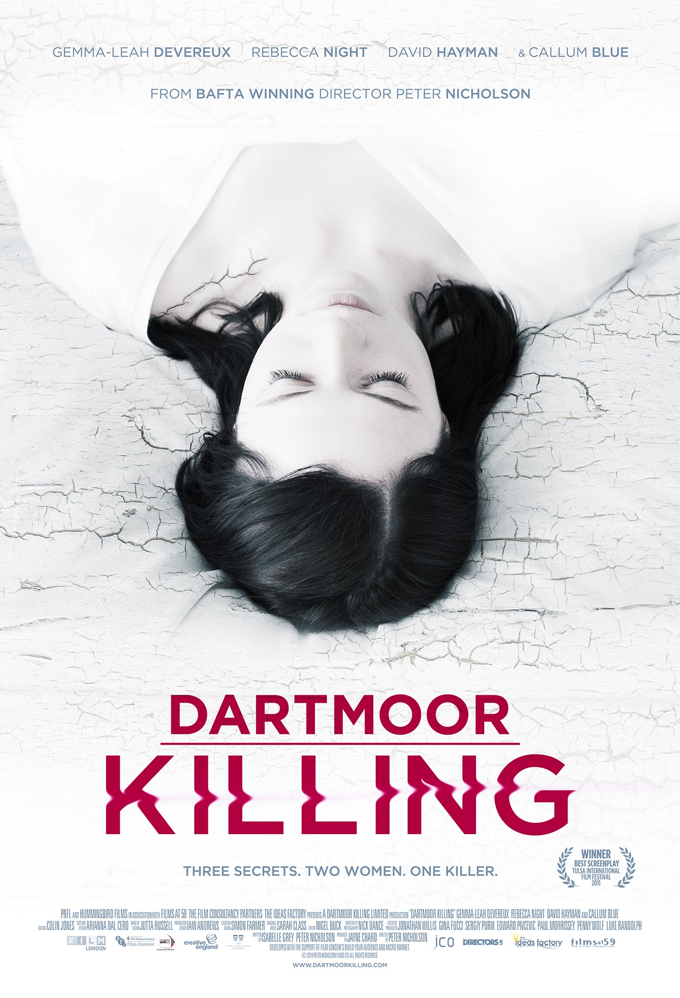 Mega Sized Movie Poster Image for Dartmoor Killing 