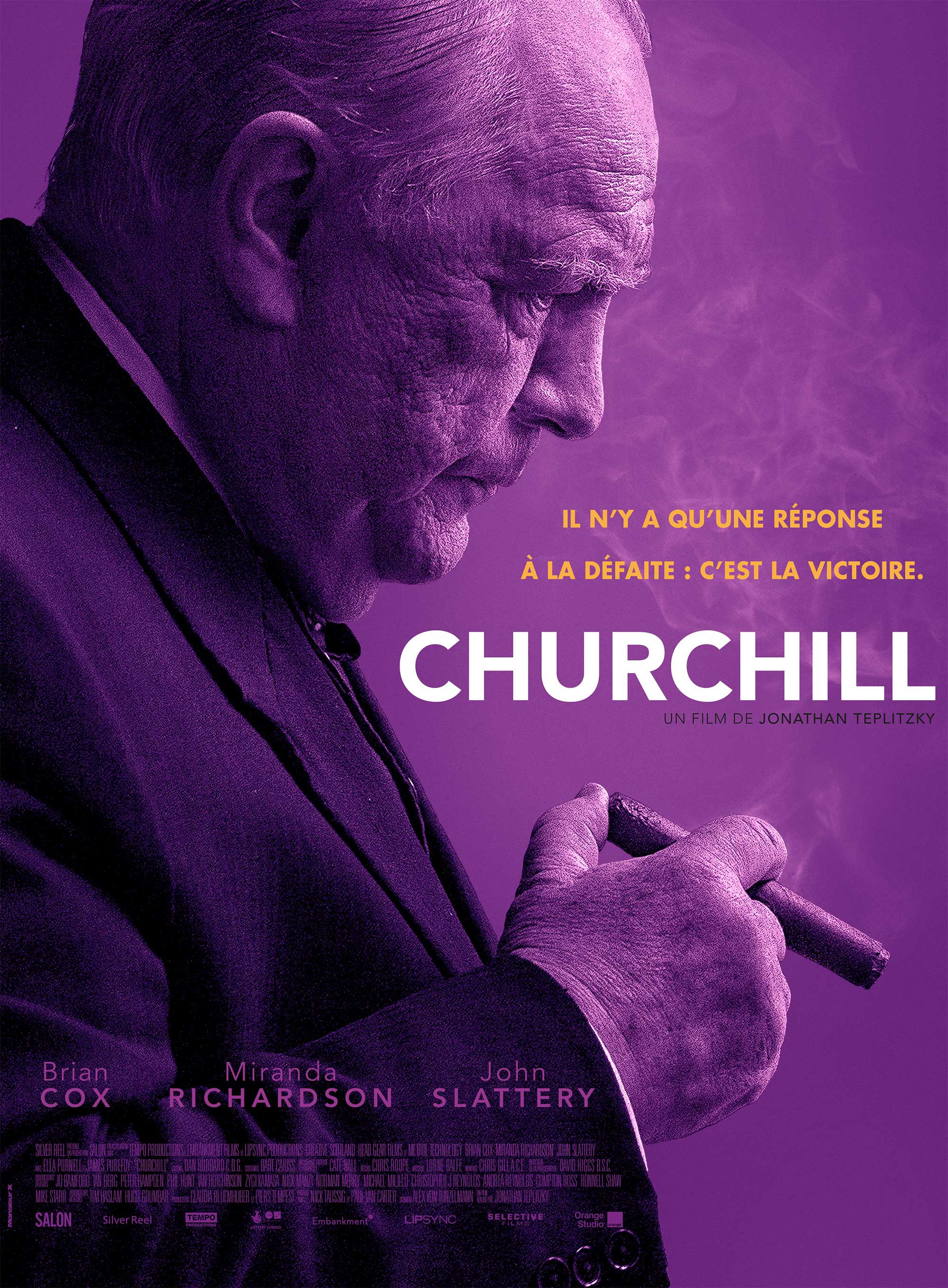 Mega Sized Movie Poster Image for Churchill (#10 of 12)