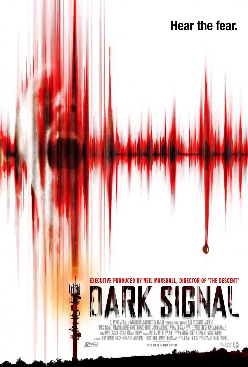 Extra Large Movie Poster Image for Dark Signal 