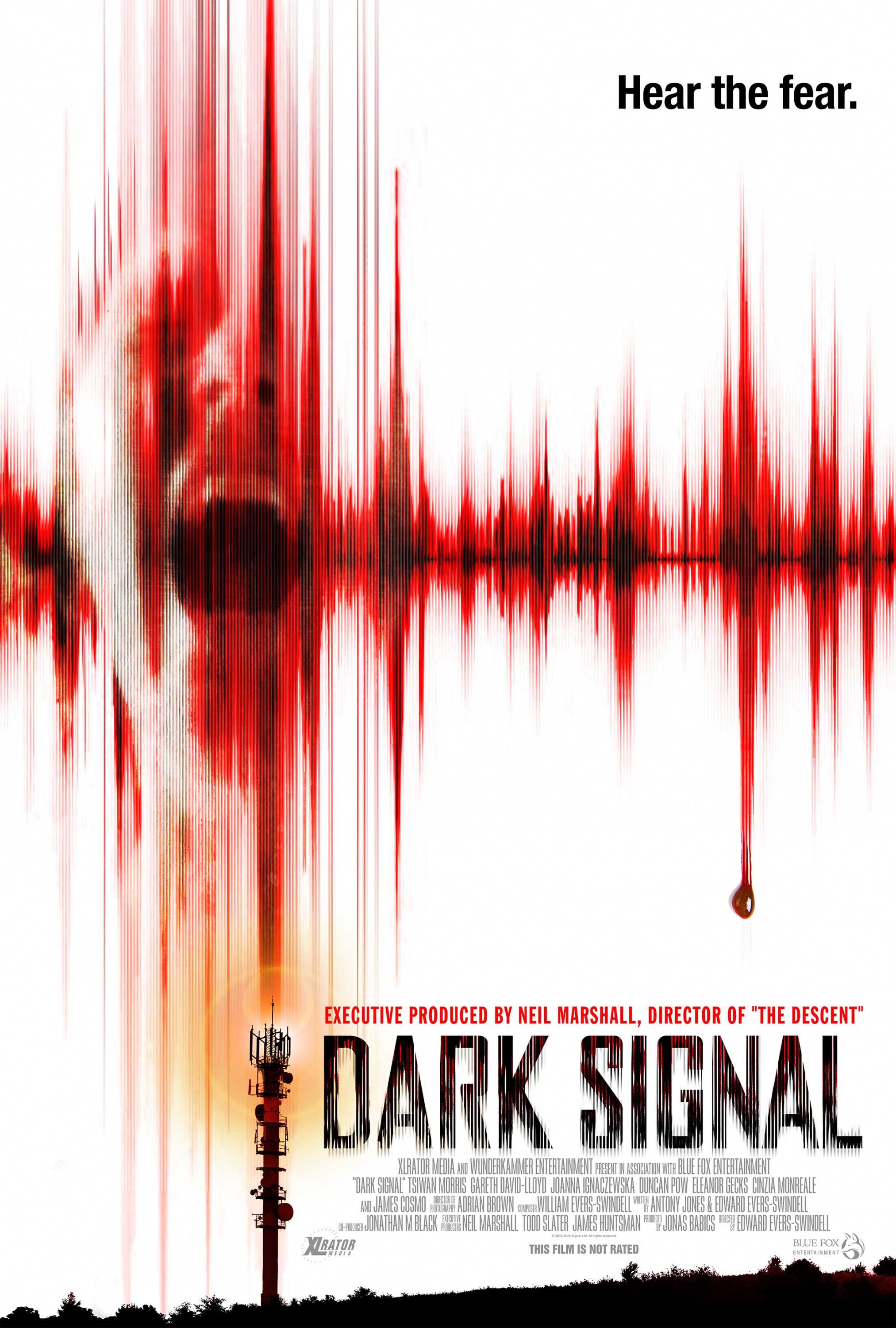 Mega Sized Movie Poster Image for Dark Signal 