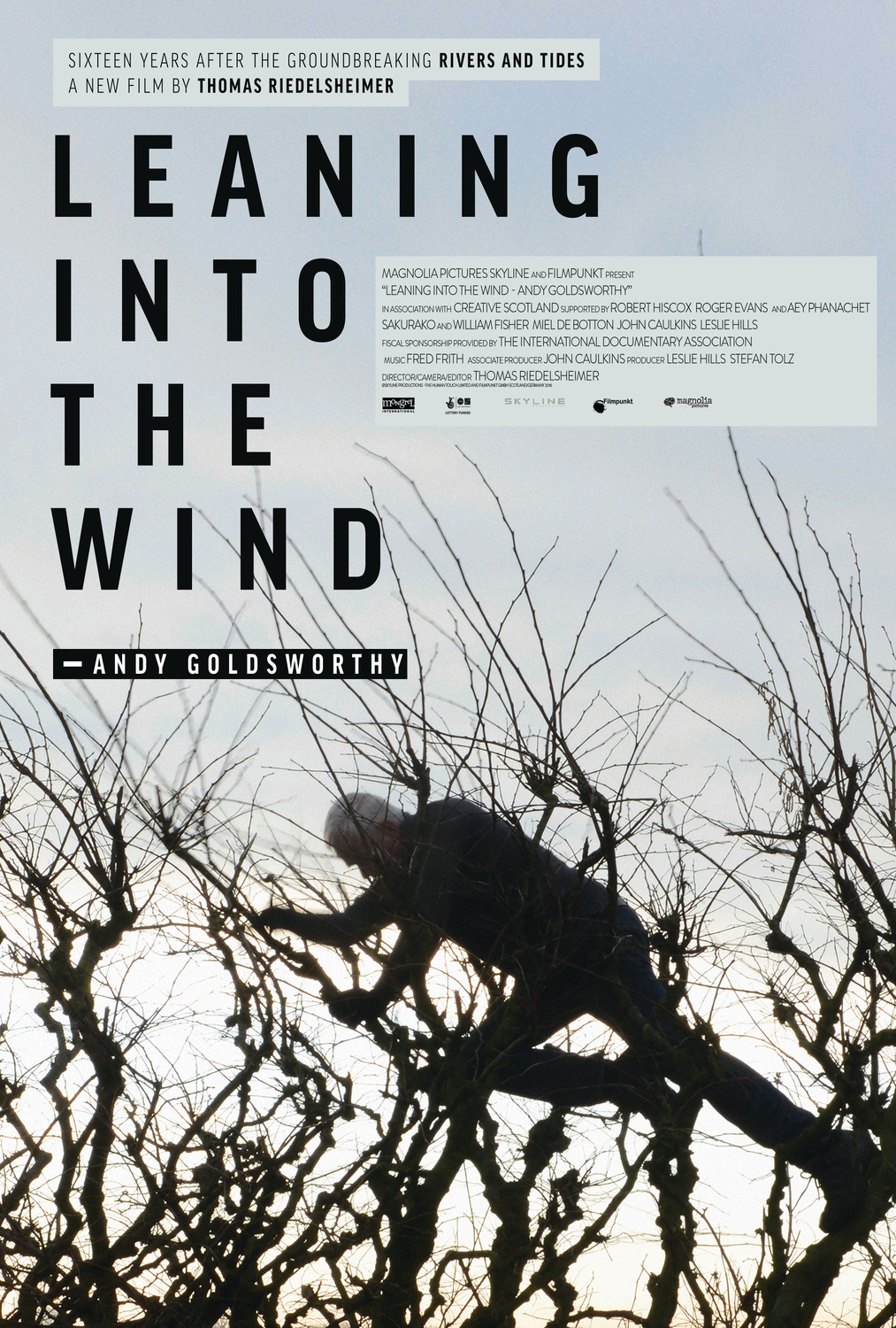 Extra Large Movie Poster Image for Leaning Into the Wind: Andy Goldsworthy 