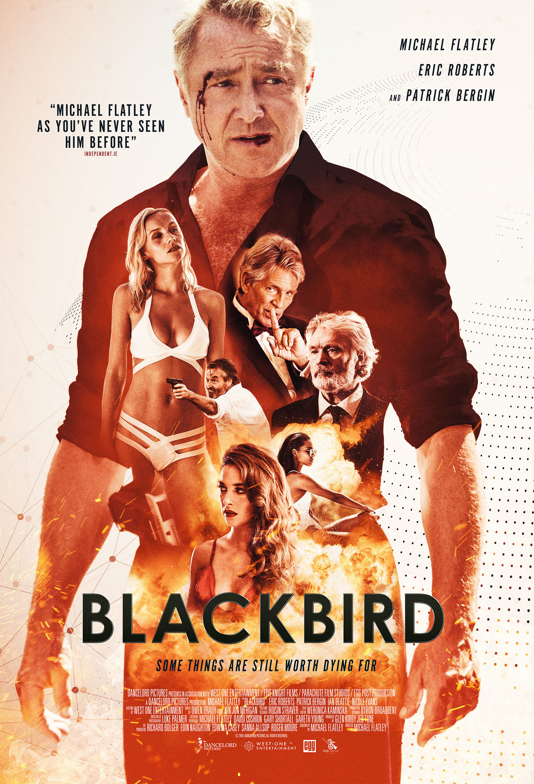 Mega Sized Movie Poster Image for Blackbird (#1 of 2)