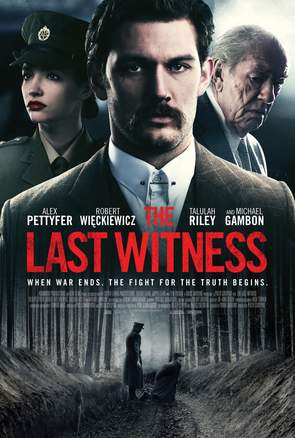 Extra Large Movie Poster Image for The Last Witness 