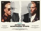 After the Screaming Stops (2018) Thumbnail