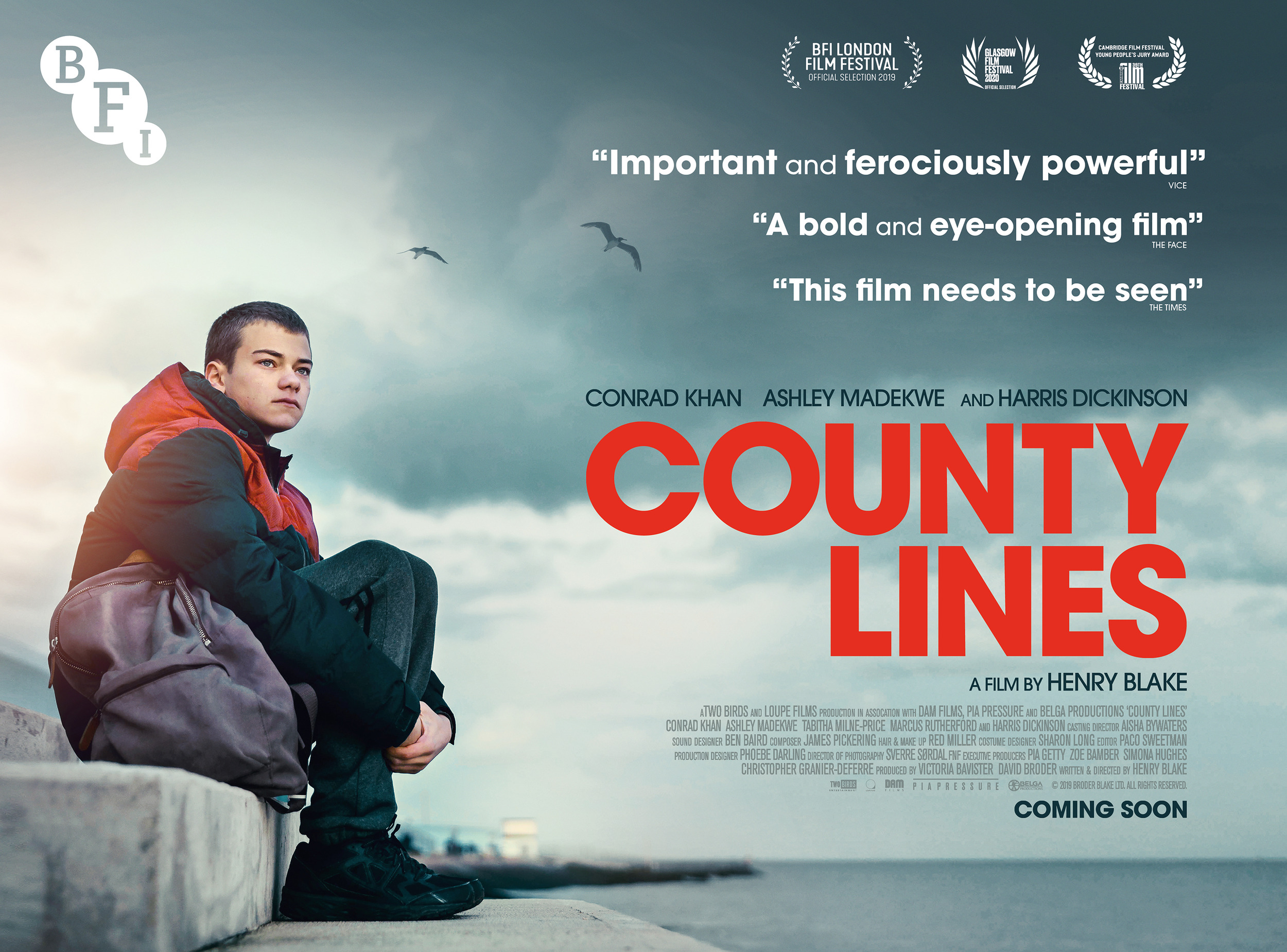 Mega Sized Movie Poster Image for County Lines (#2 of 2)