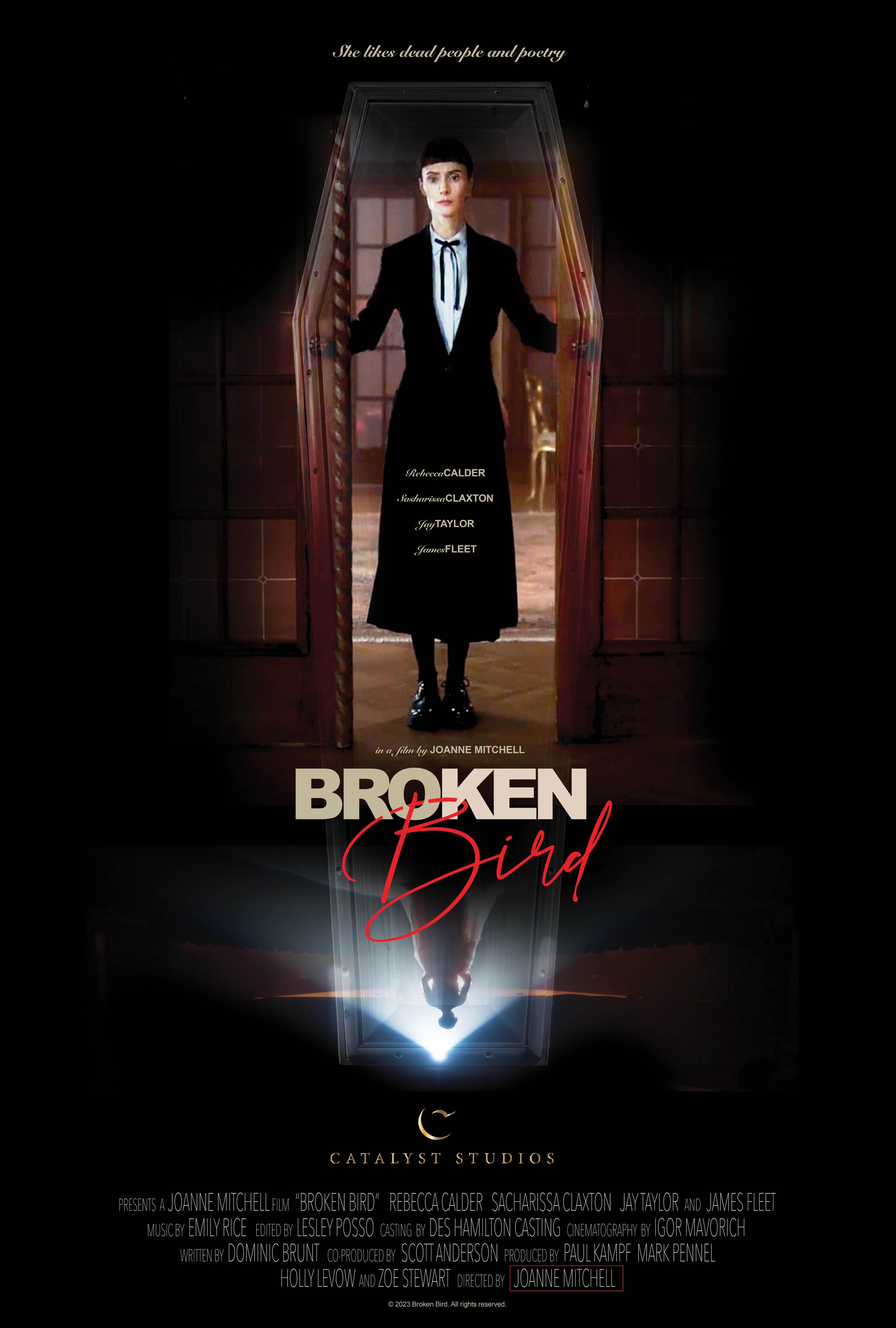 Mega Sized Movie Poster Image for Broken Bird 