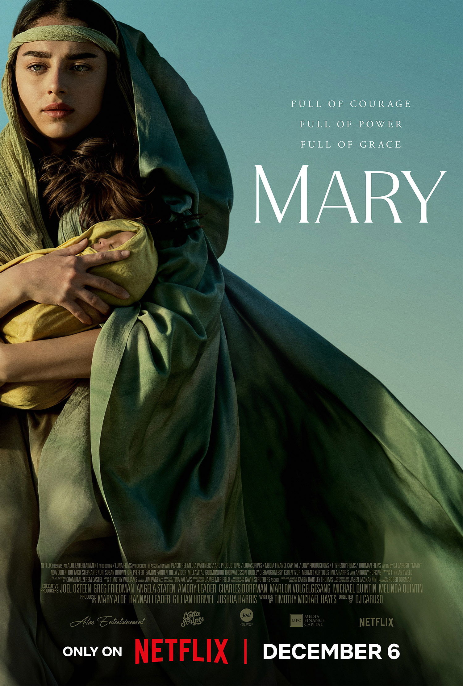 Mega Sized Movie Poster Image for Mary (#2 of 2)