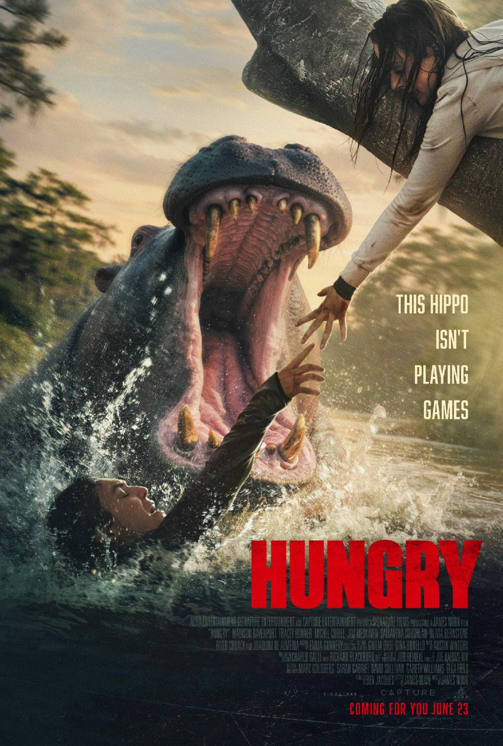 Extra Large Movie Poster Image for Hungry 