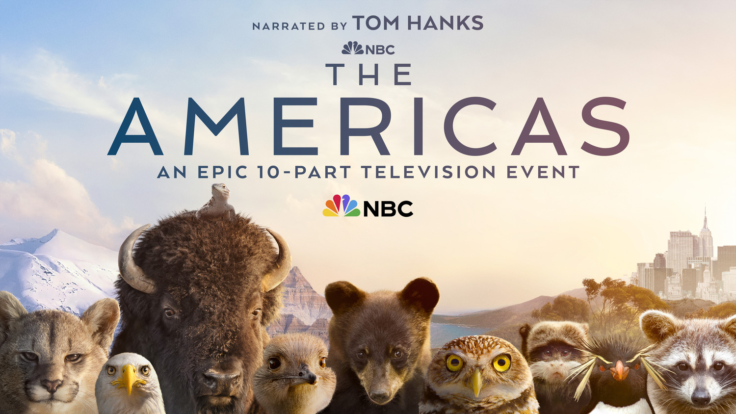 Extra Large TV Poster Image for The Americas 