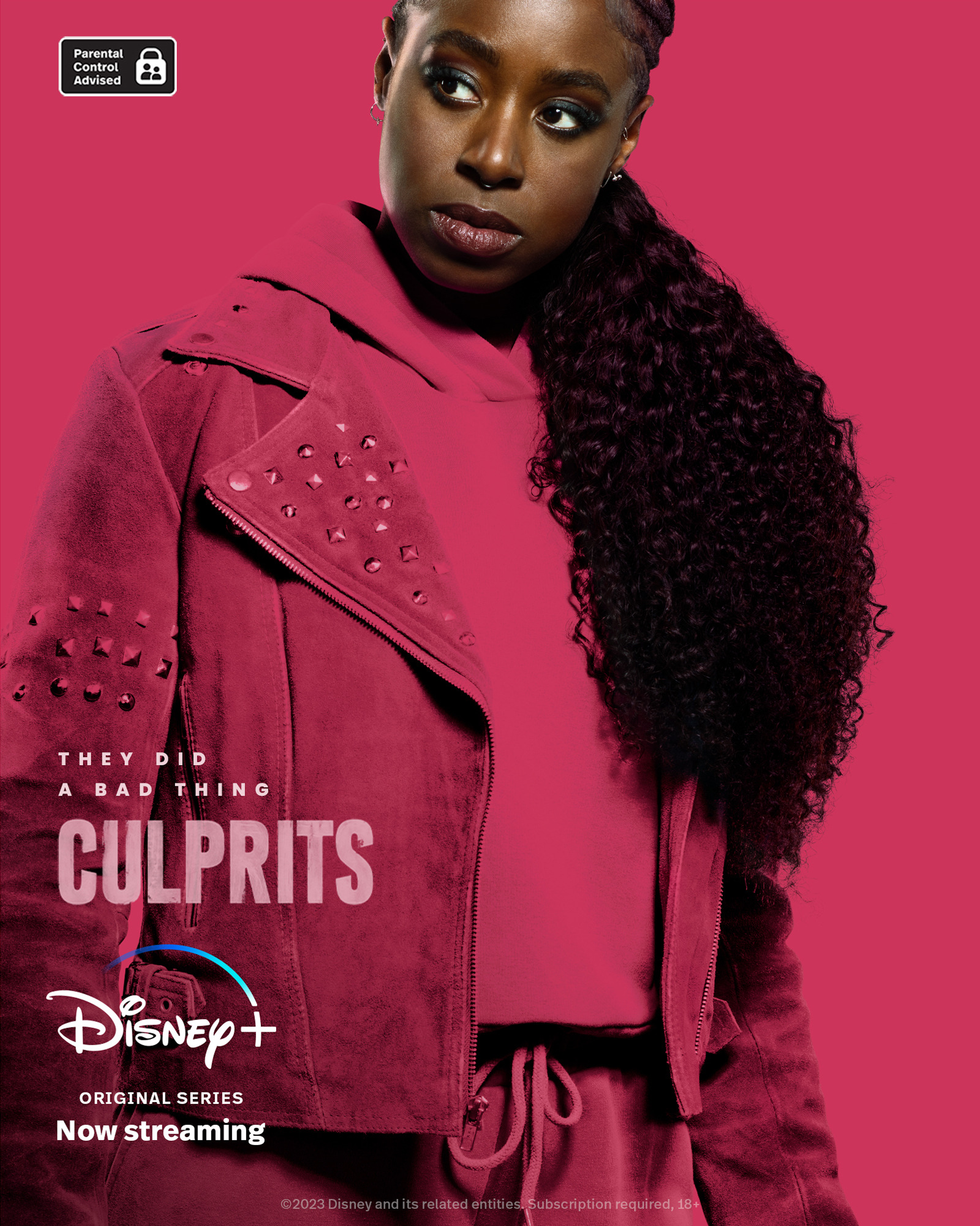 Mega Sized TV Poster Image for Culprits (#4 of 6)