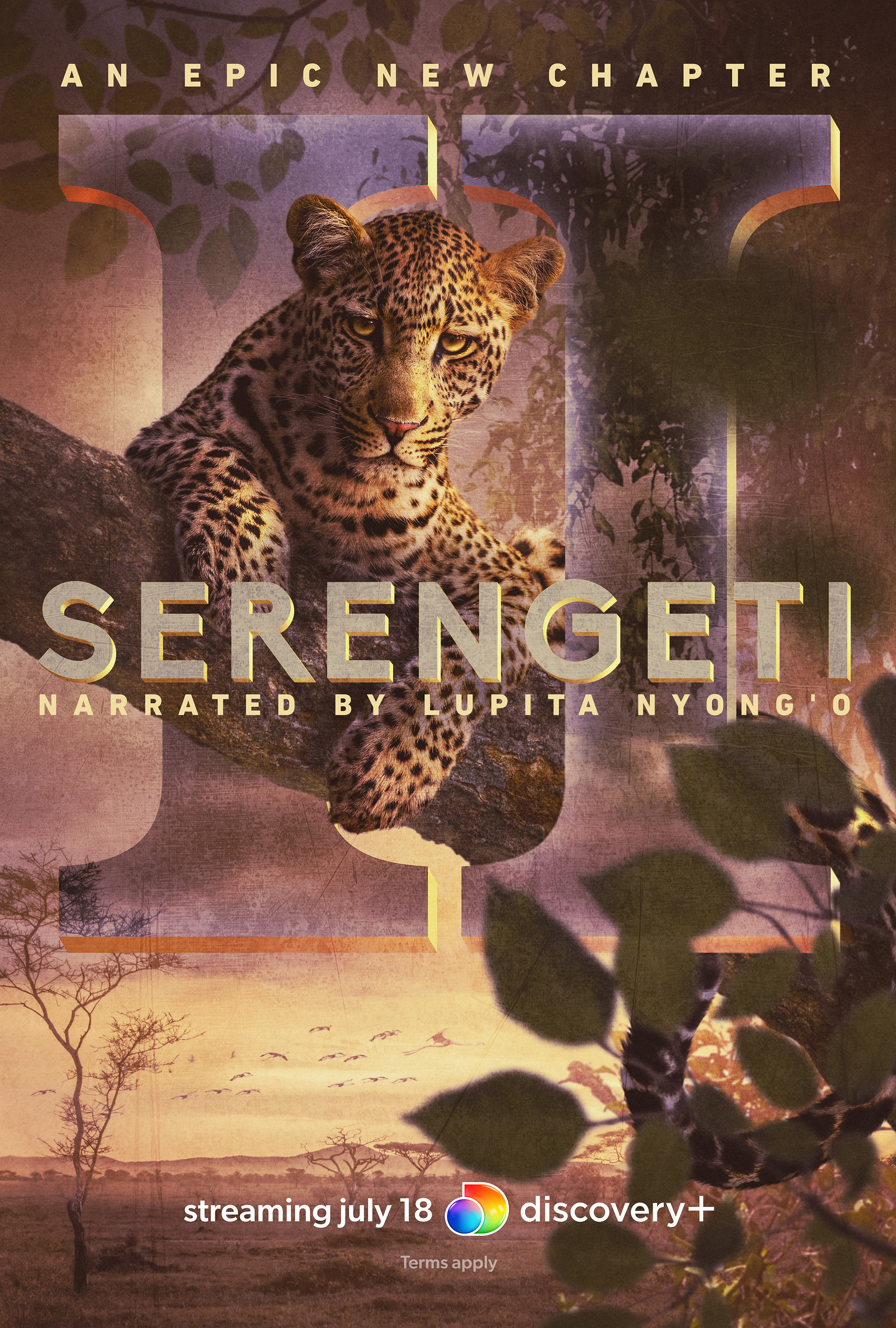 Mega Sized TV Poster Image for Serengeti (#6 of 8)