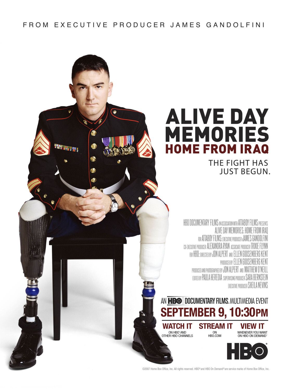 Extra Large TV Poster Image for Alive Day Memories: Home from Iraq (#3 of 3)