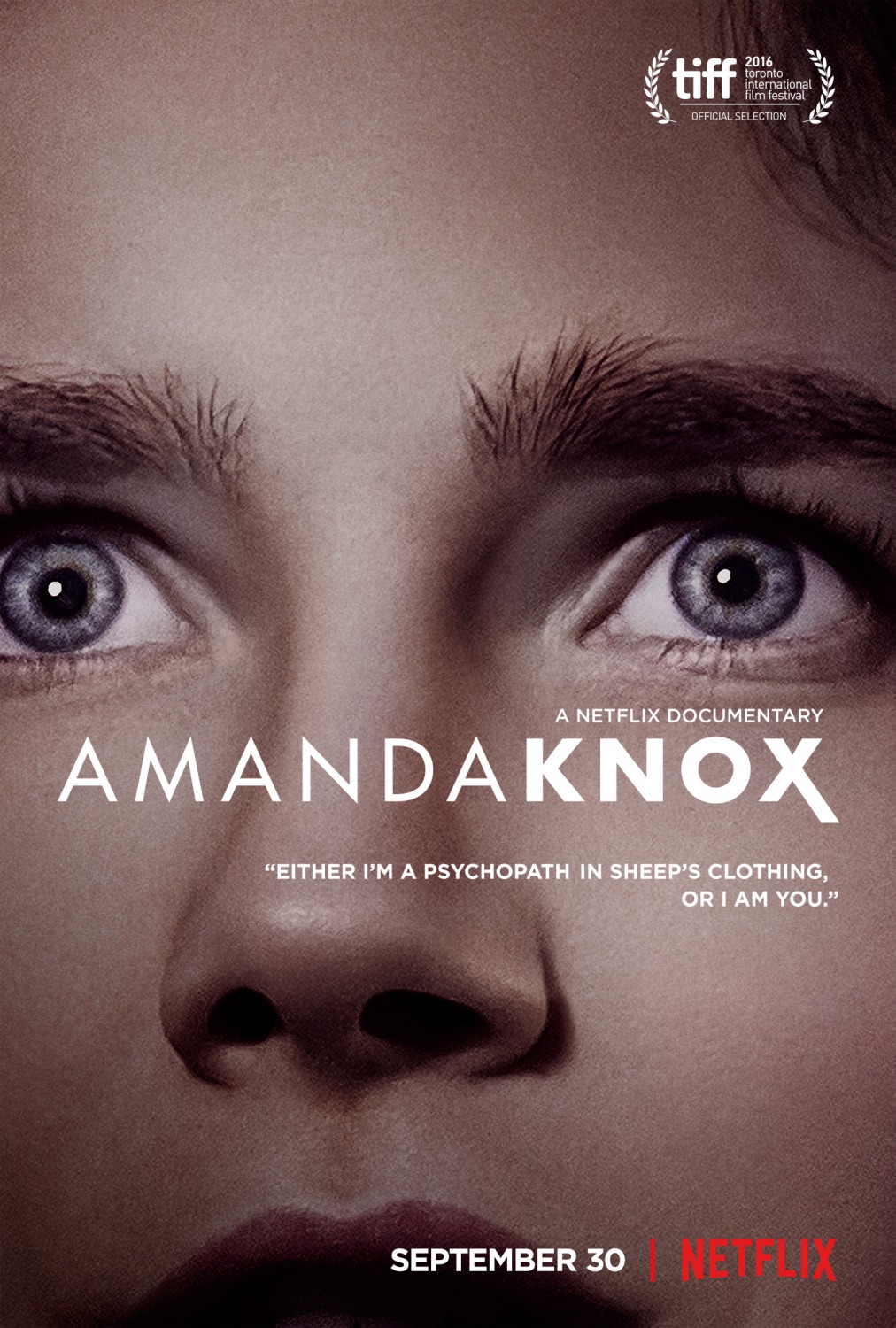 Extra Large TV Poster Image for Amanda Knox 