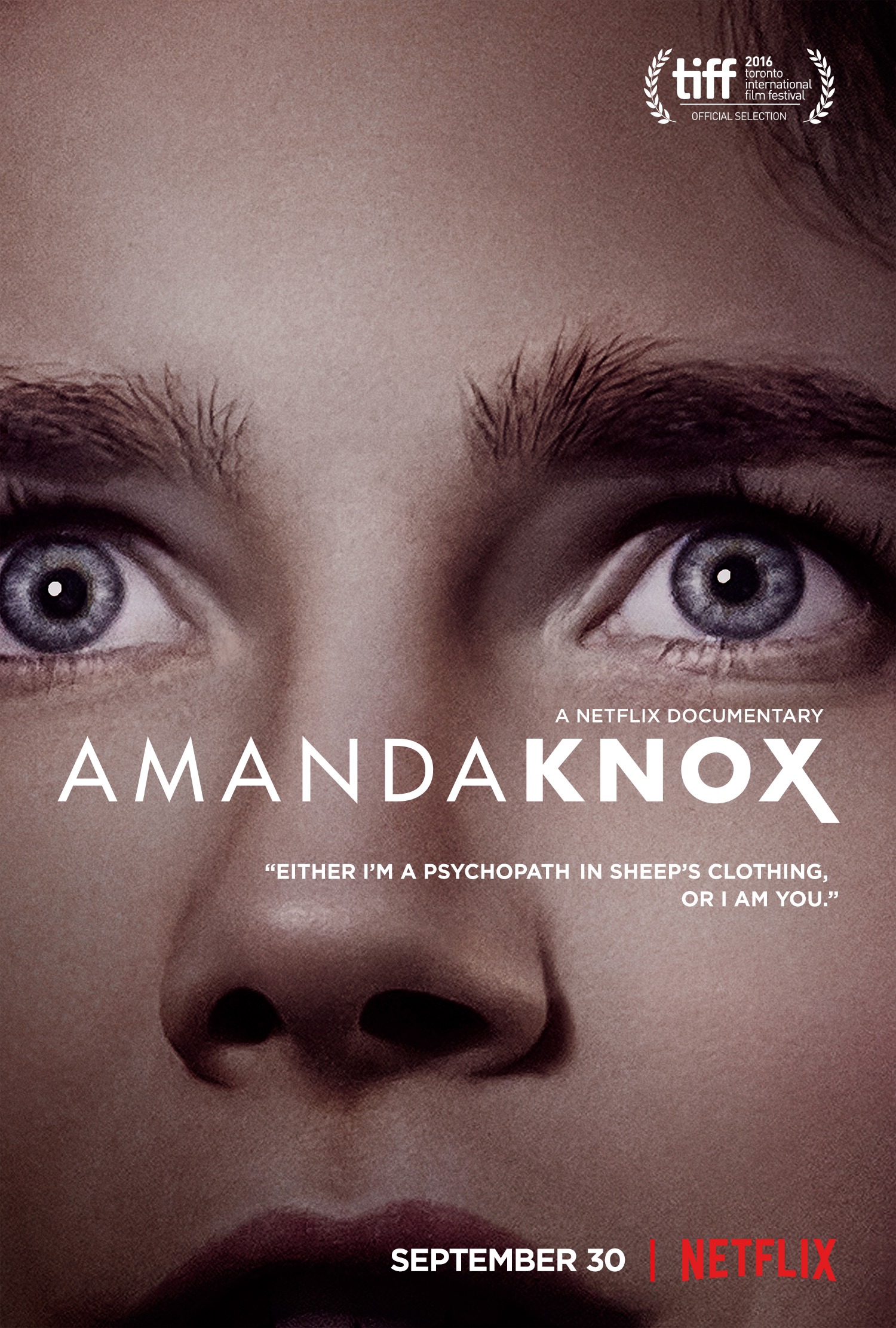 Mega Sized TV Poster Image for Amanda Knox 