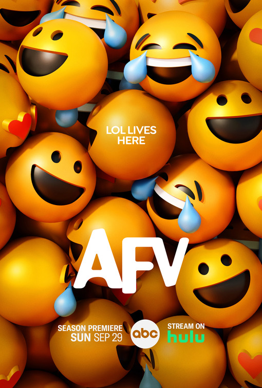 America's Funniest Videos Movie Poster