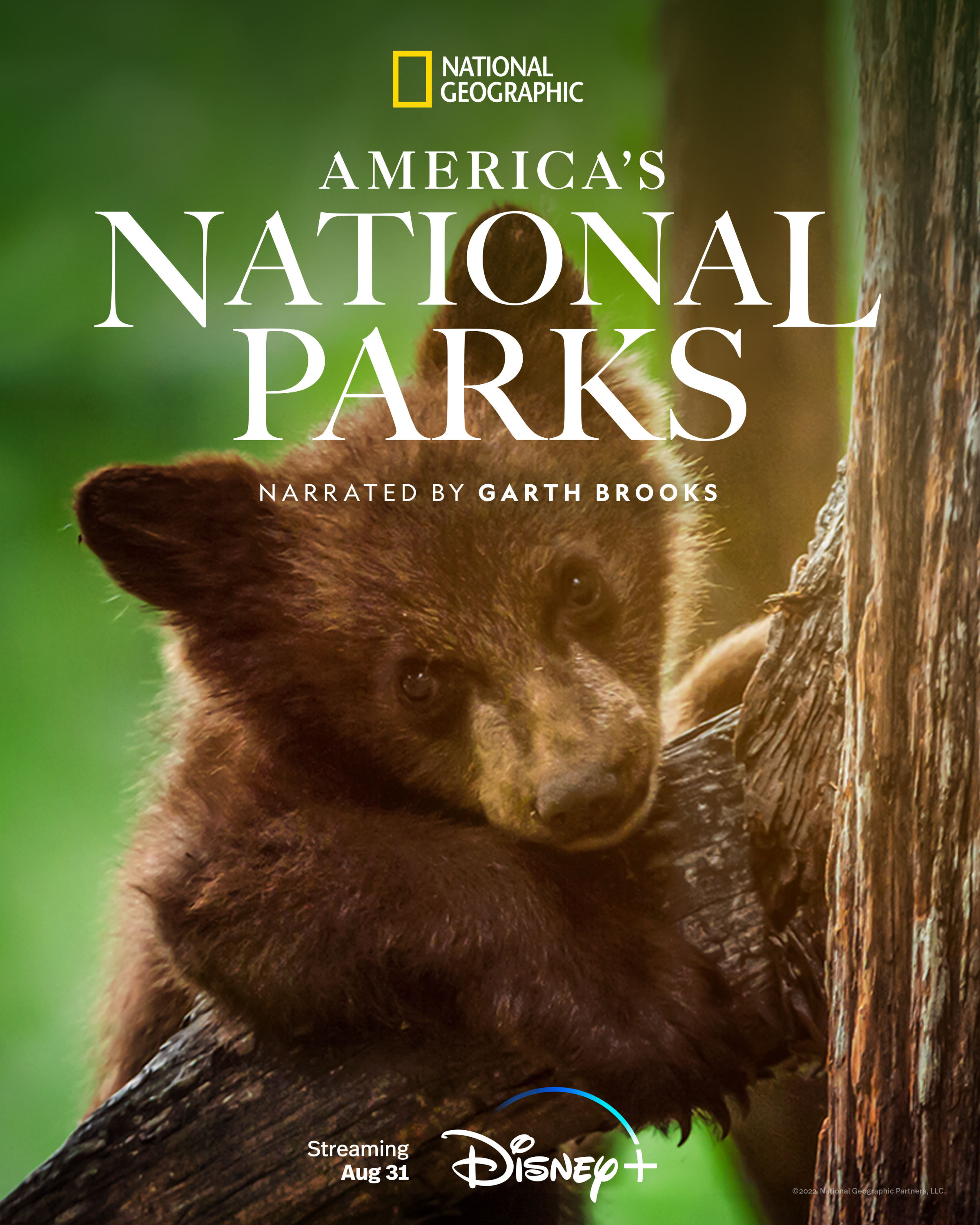 Mega Sized TV Poster Image for America's National Parks 