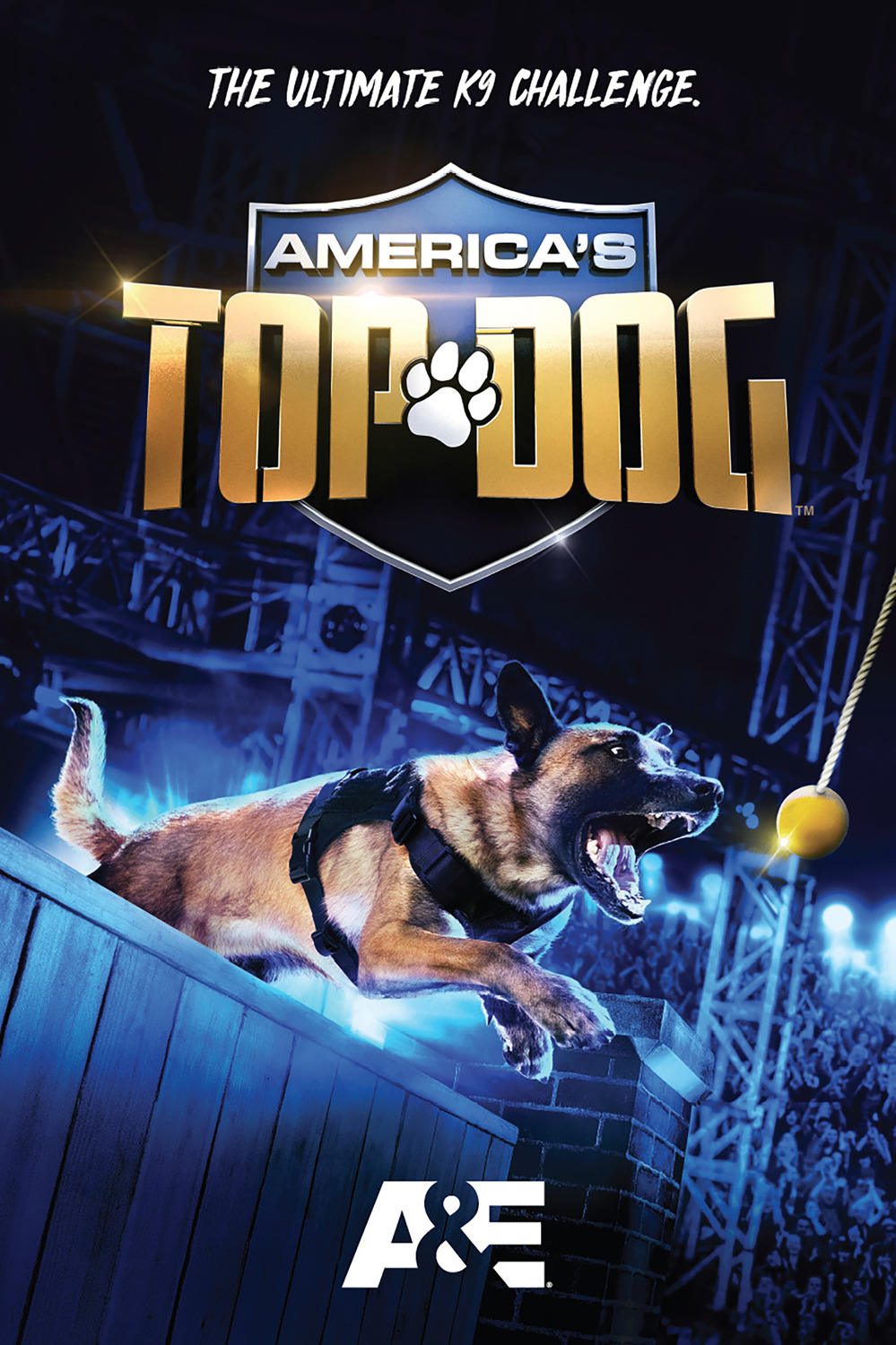 Extra Large TV Poster Image for America's Top Dog (#2 of 3)