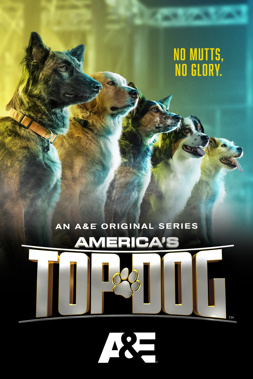 Extra Large TV Poster Image for America's Top Dog (#3 of 3)