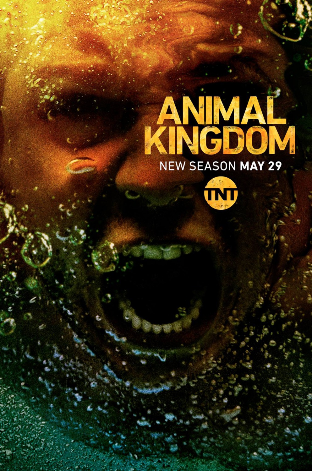 Extra Large TV Poster Image for Animal Kingdom (#3 of 6)