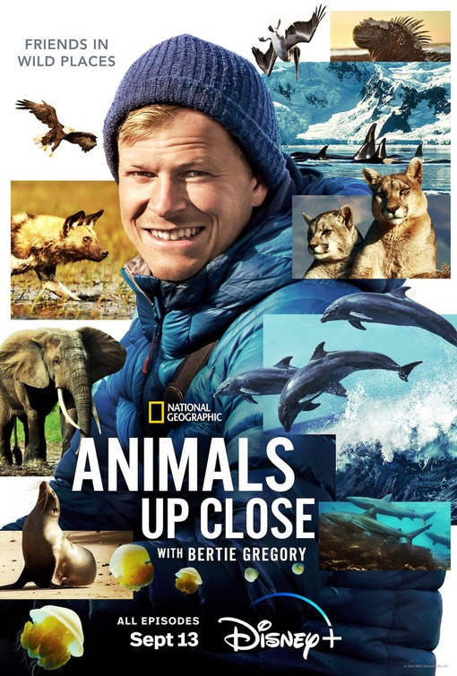 Animals Up Close with Bertie Gregory Movie Poster