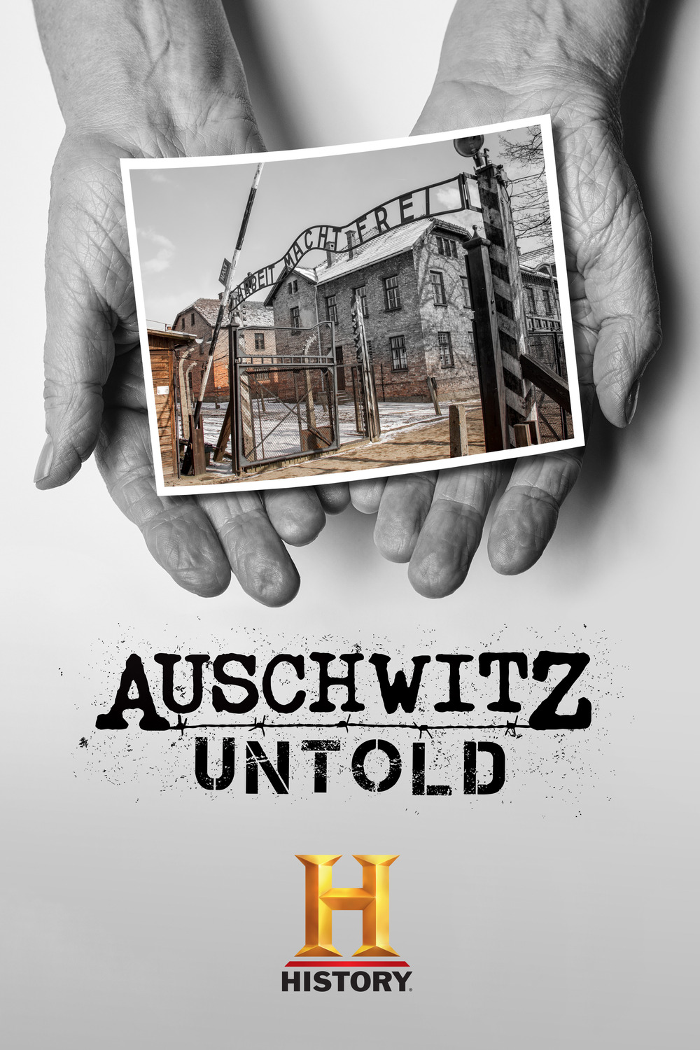 Extra Large TV Poster Image for Auschwitz Untold in Color 