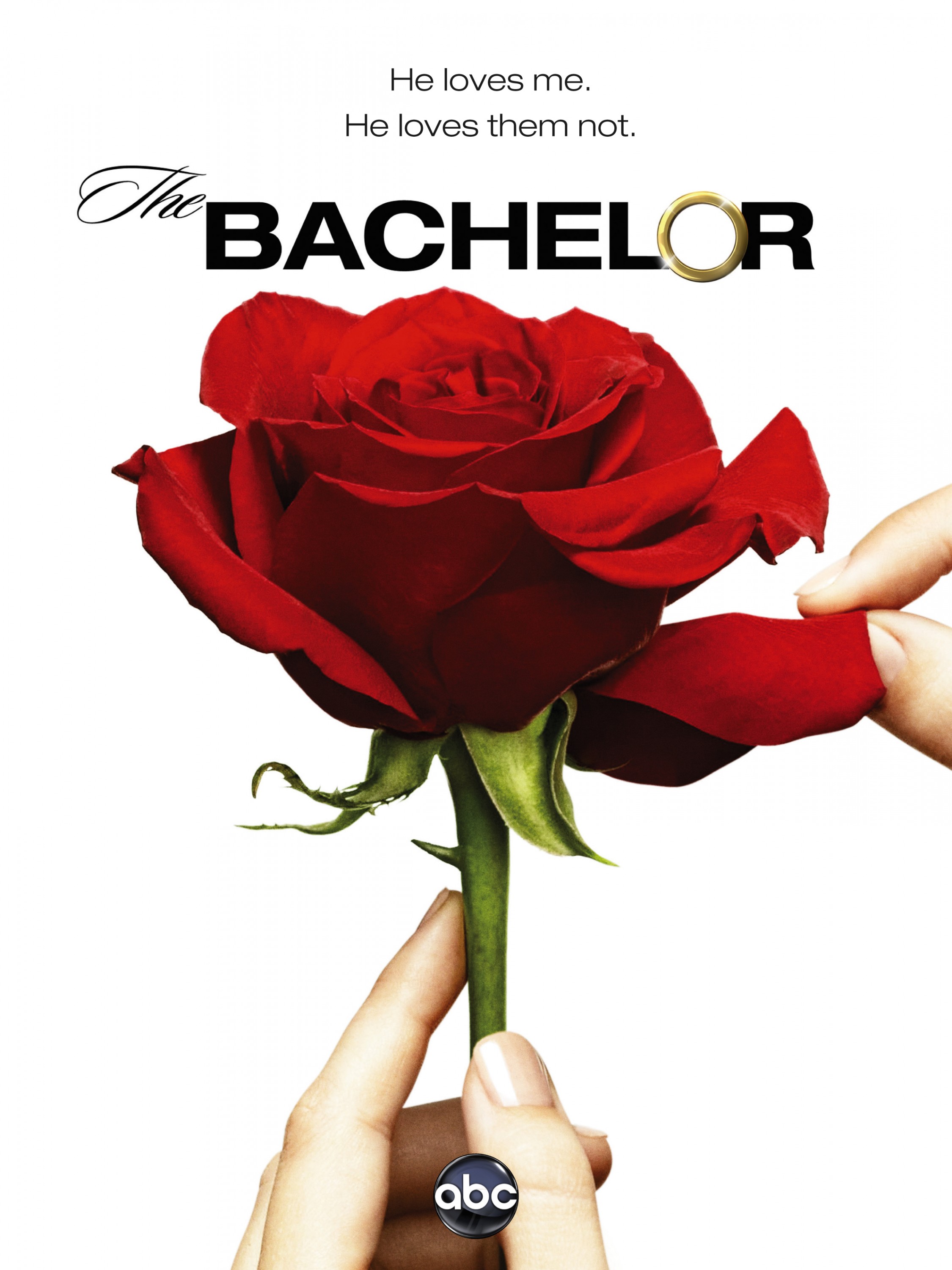 Mega Sized TV Poster Image for The Bachelor (#3 of 11)