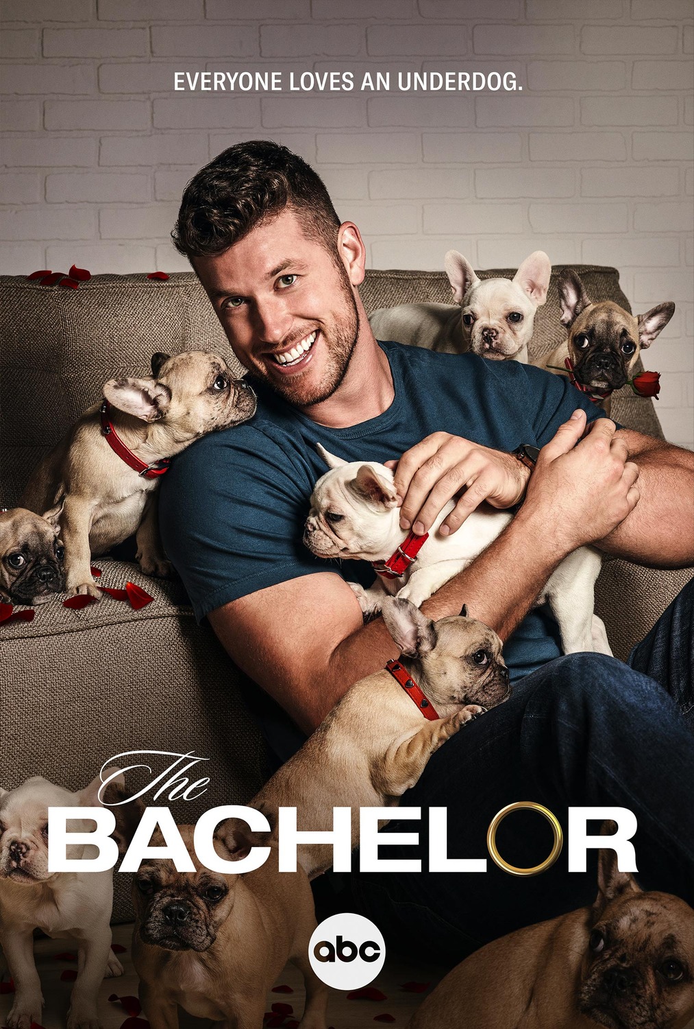 Extra Large Movie Poster Image for The Bachelor (#9 of 10)