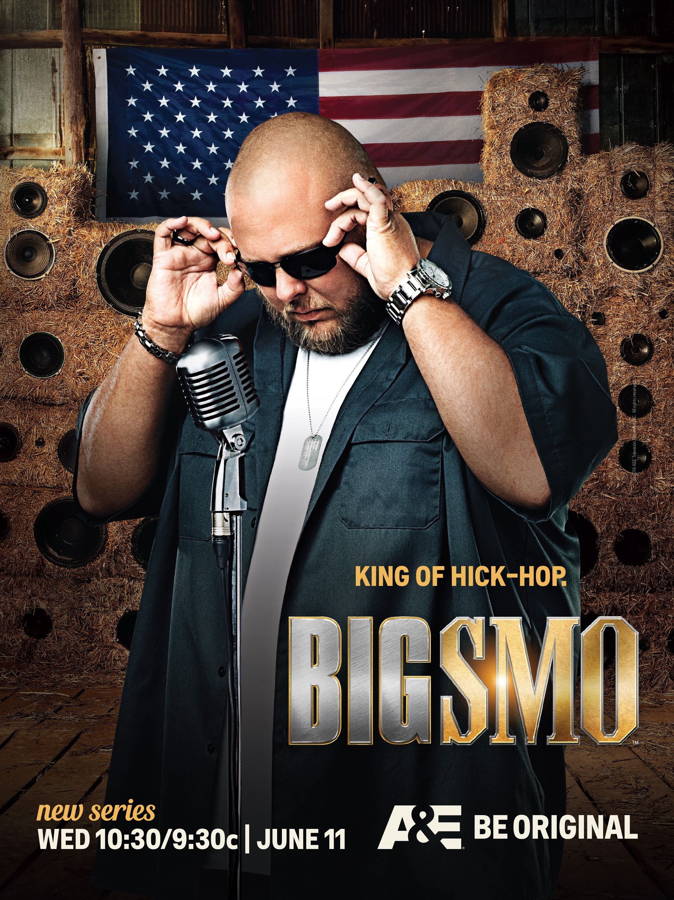 Mega Sized TV Poster Image for Big Smo (#5 of 5)