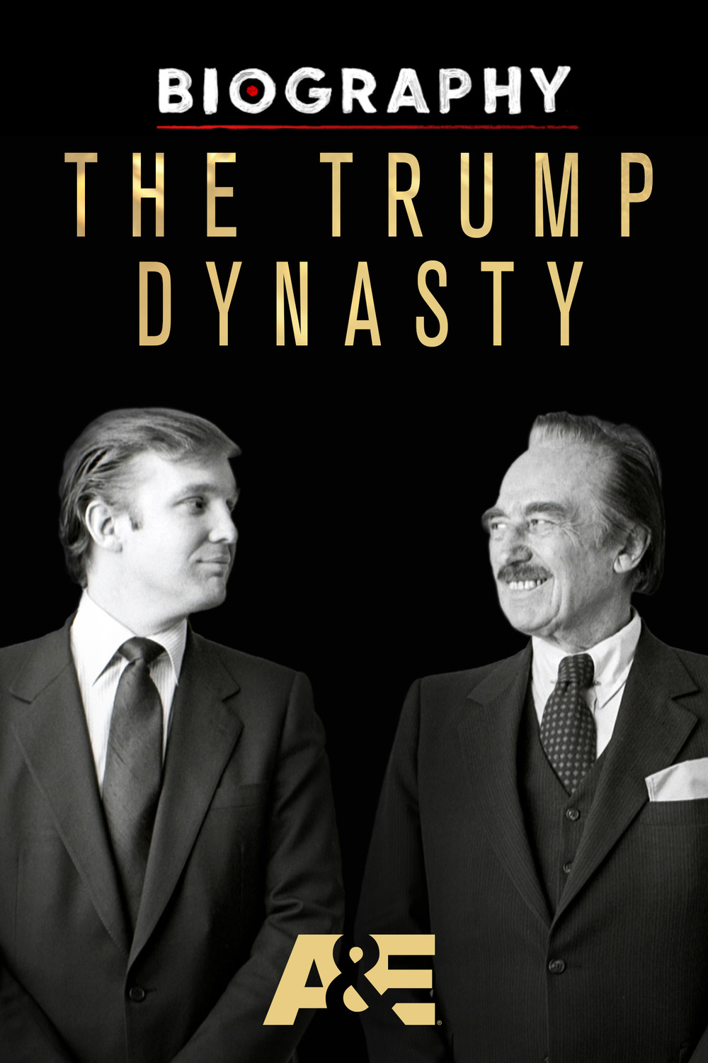 Extra Large TV Poster Image for Biography: The Trump Dynasty 