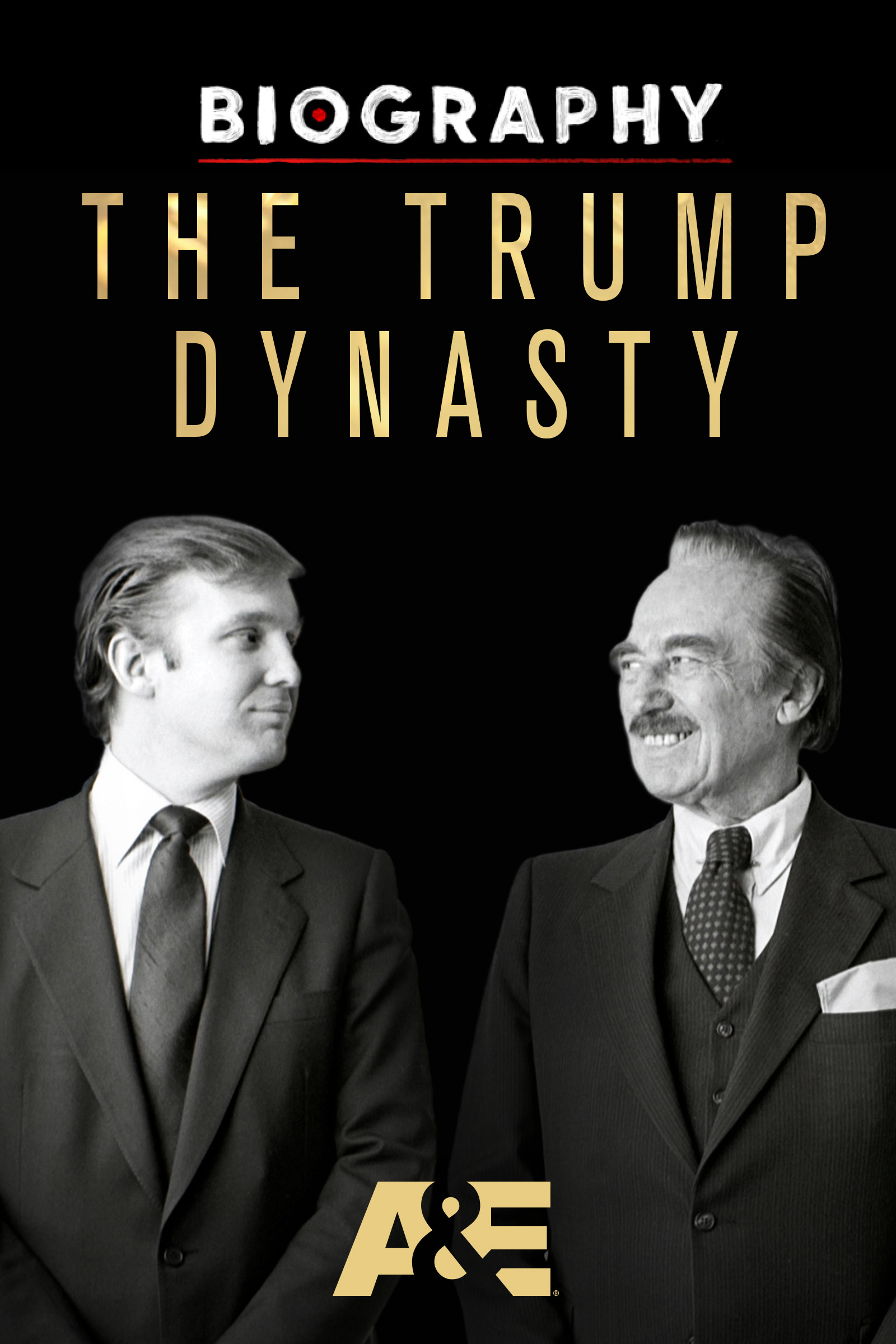 Mega Sized TV Poster Image for Biography: The Trump Dynasty 