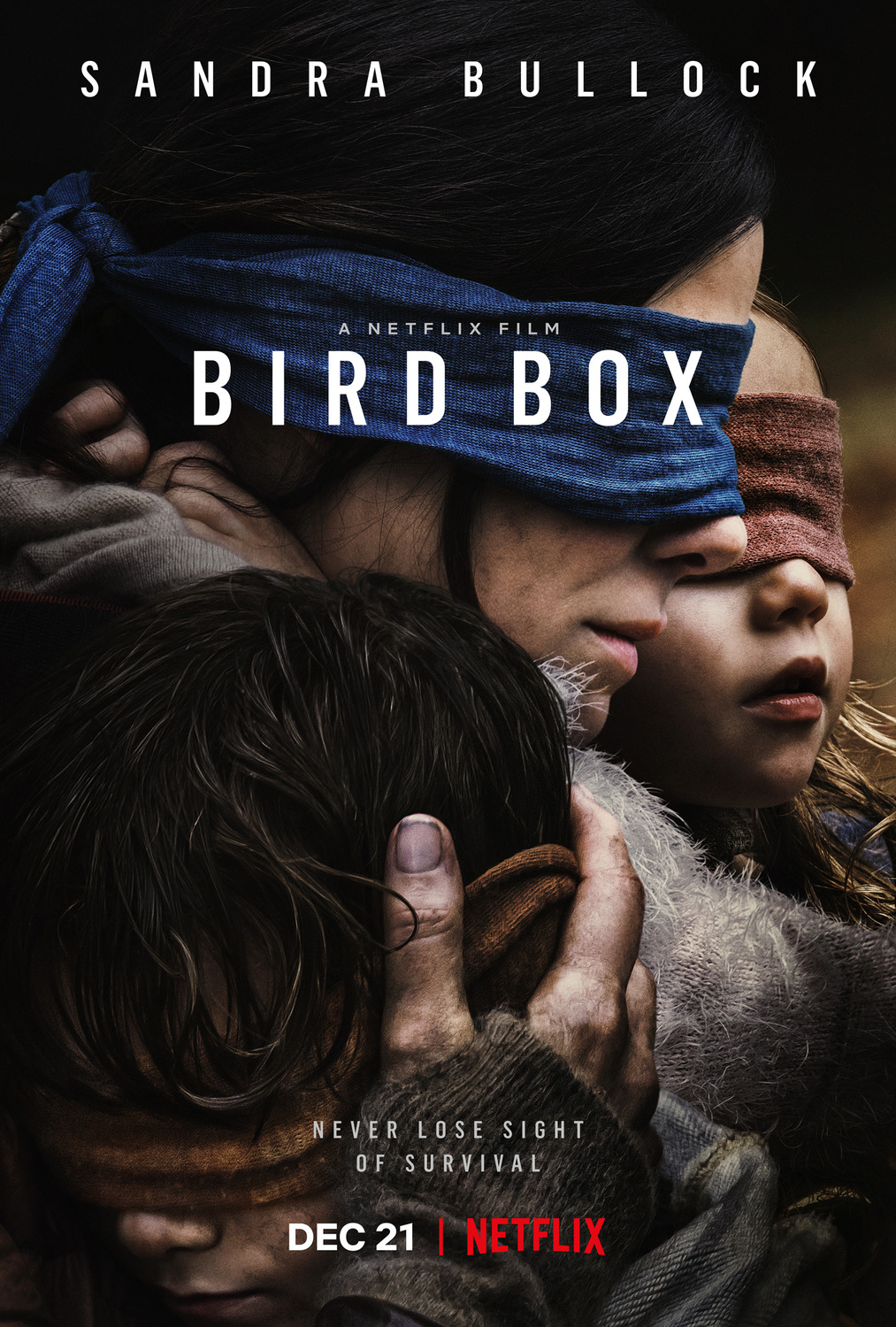 Extra Large TV Poster Image for Bird Box (#1 of 2)