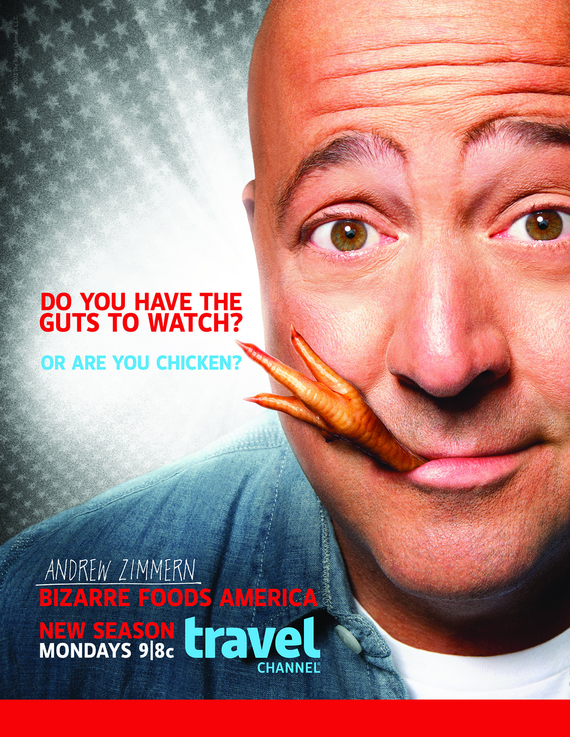 Extra Large TV Poster Image for Bizarre Foods America (#4 of 6)