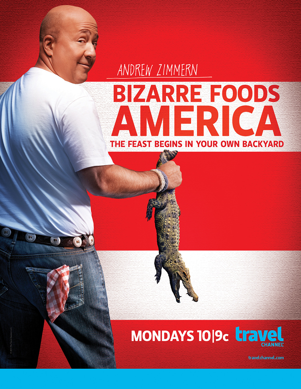 Extra Large TV Poster Image for Bizarre Foods America (#5 of 6)