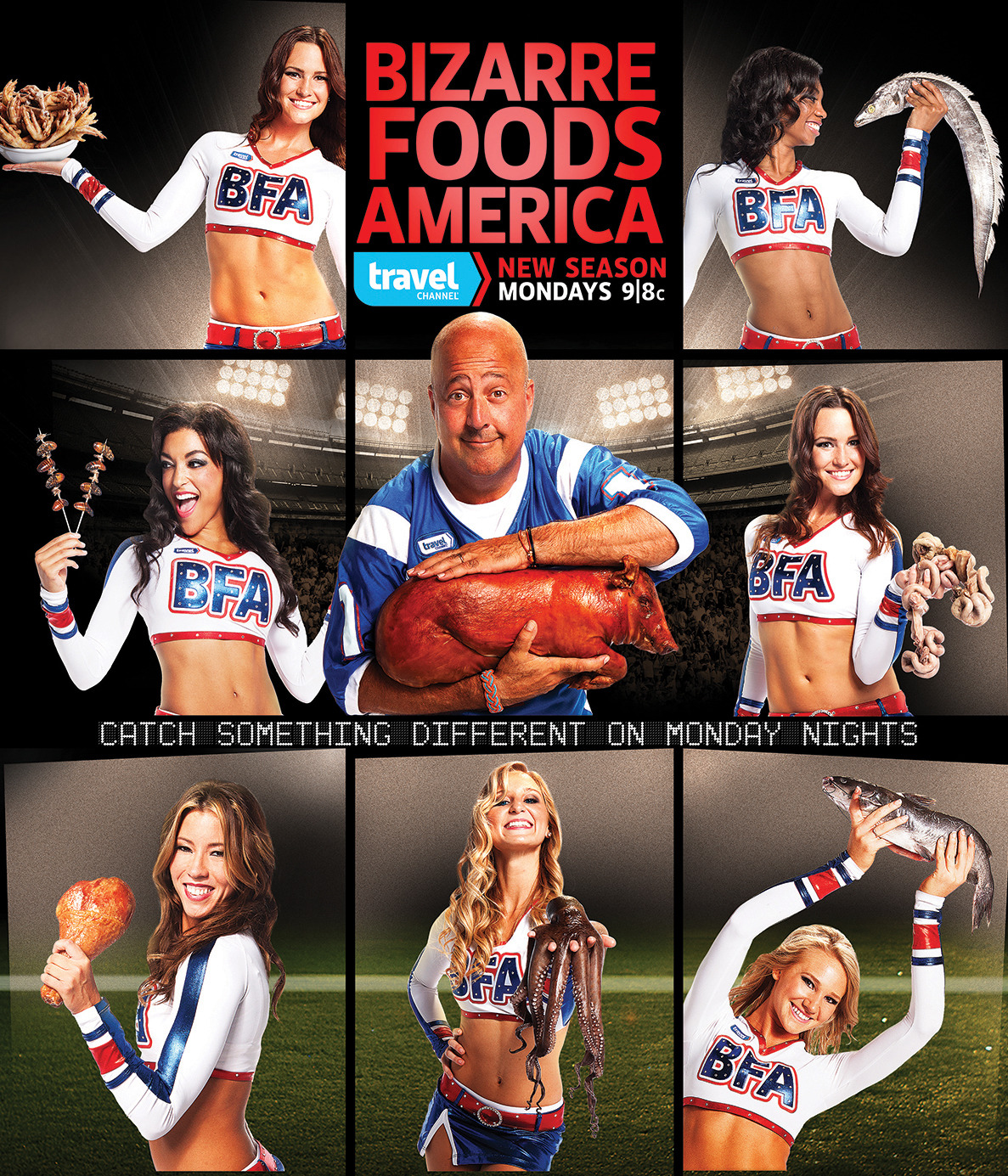 Extra Large TV Poster Image for Bizarre Foods America (#1 of 6)