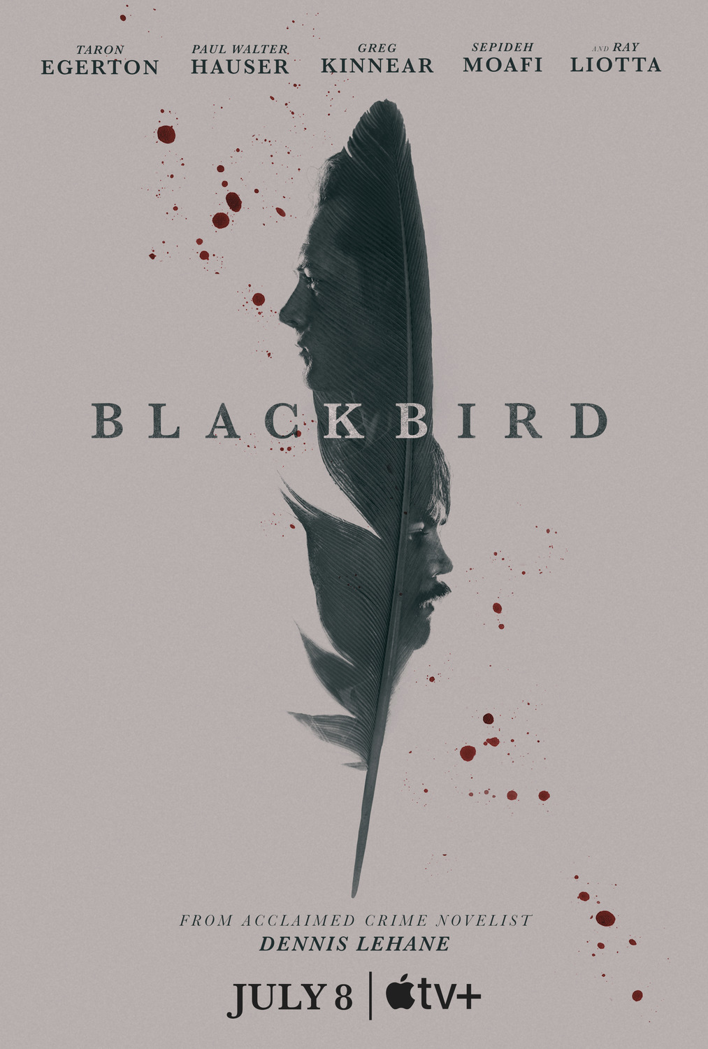 Extra Large TV Poster Image for Black Bird 