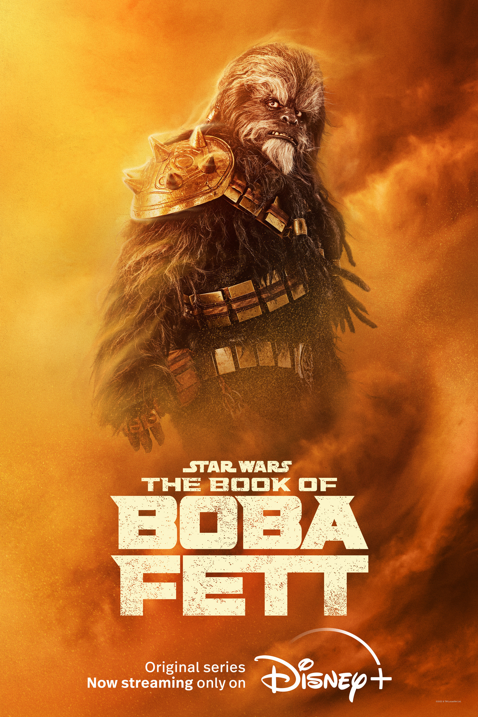 Mega Sized TV Poster Image for The Book of Boba Fett (#7 of 18)