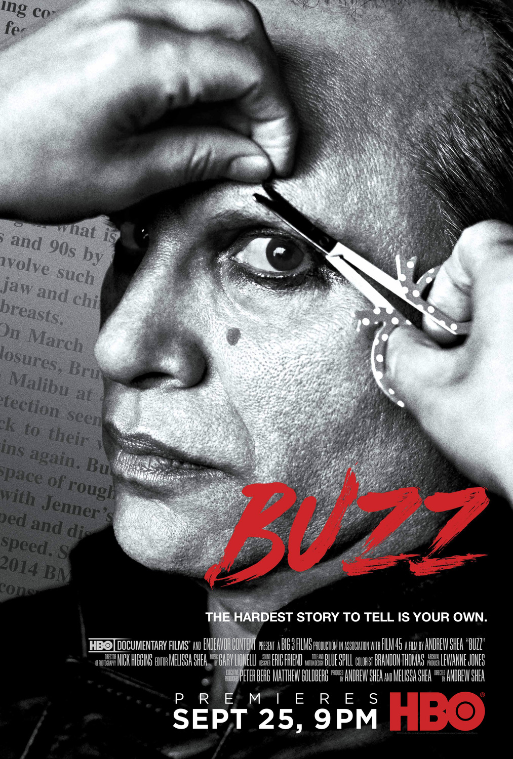 Extra Large TV Poster Image for Buzz 