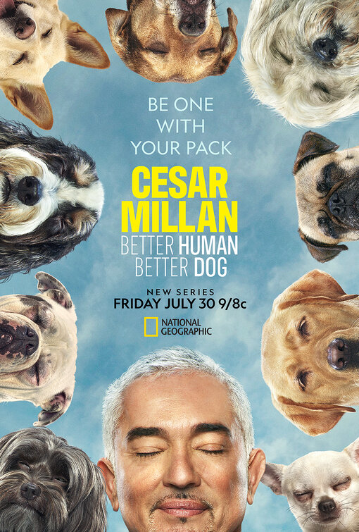 Cesar Millan: Better Human Better Dog Movie Poster
