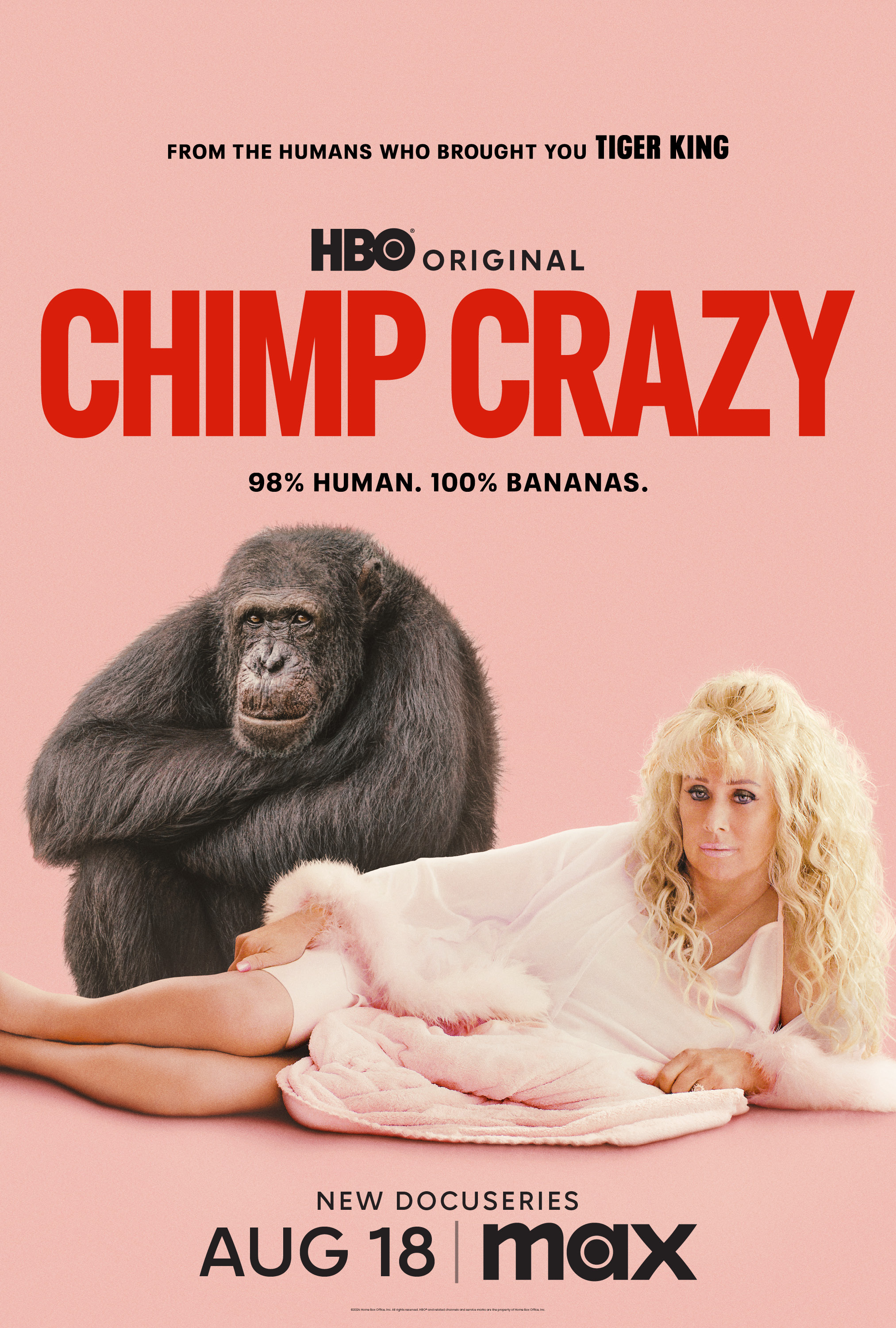 Mega Sized TV Poster Image for Chimp Crazy 