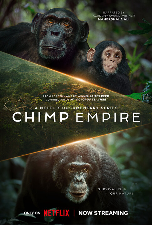 Chimp Empire Movie Poster