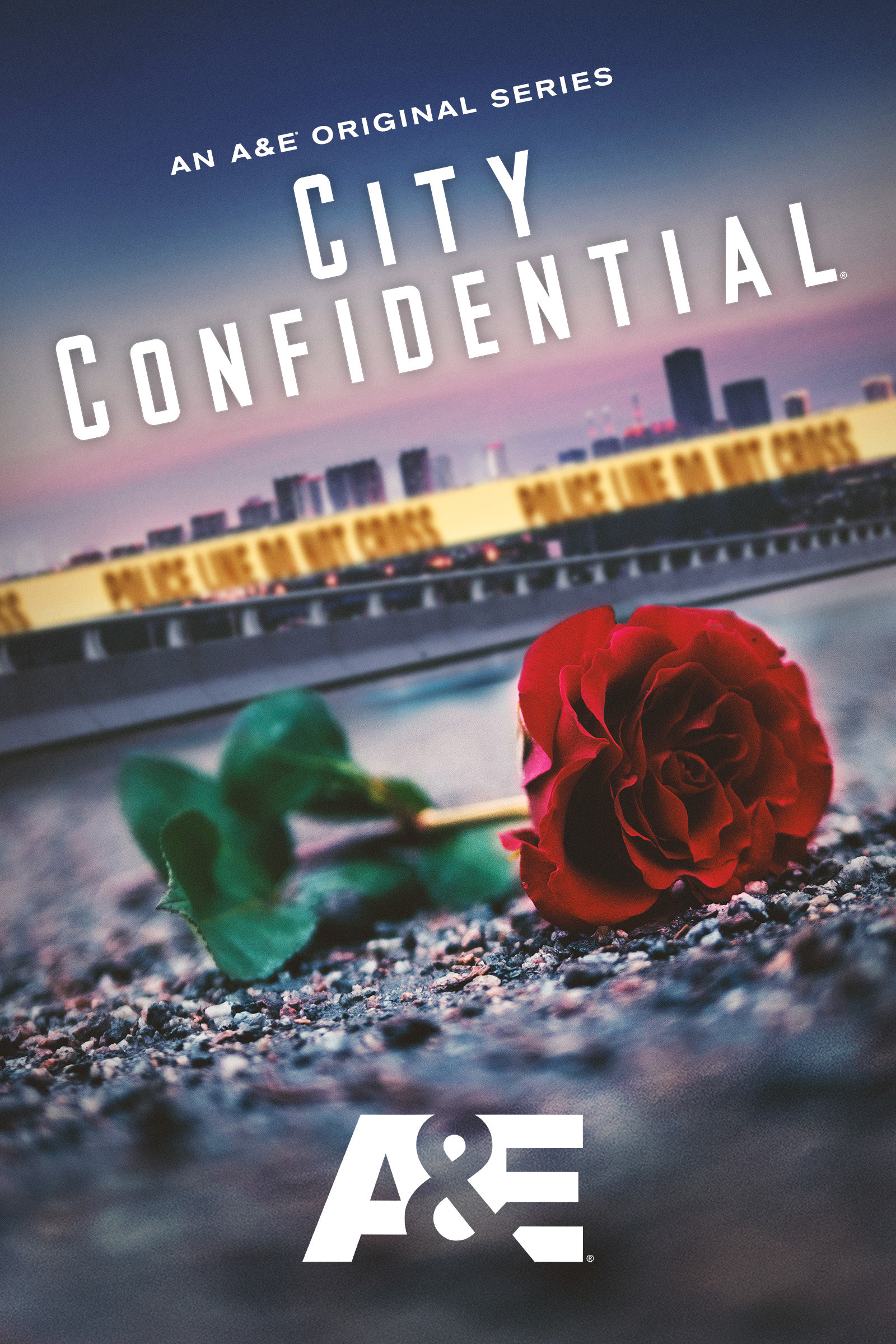 Mega Sized TV Poster Image for City Confidential (#2 of 2)