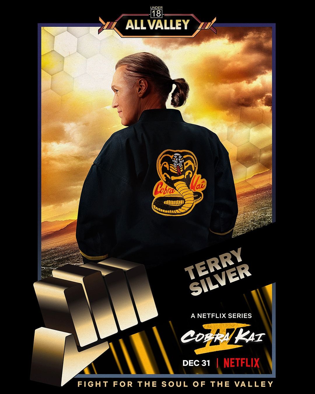 Extra Large TV Poster Image for Cobra Kai (#17 of 20)