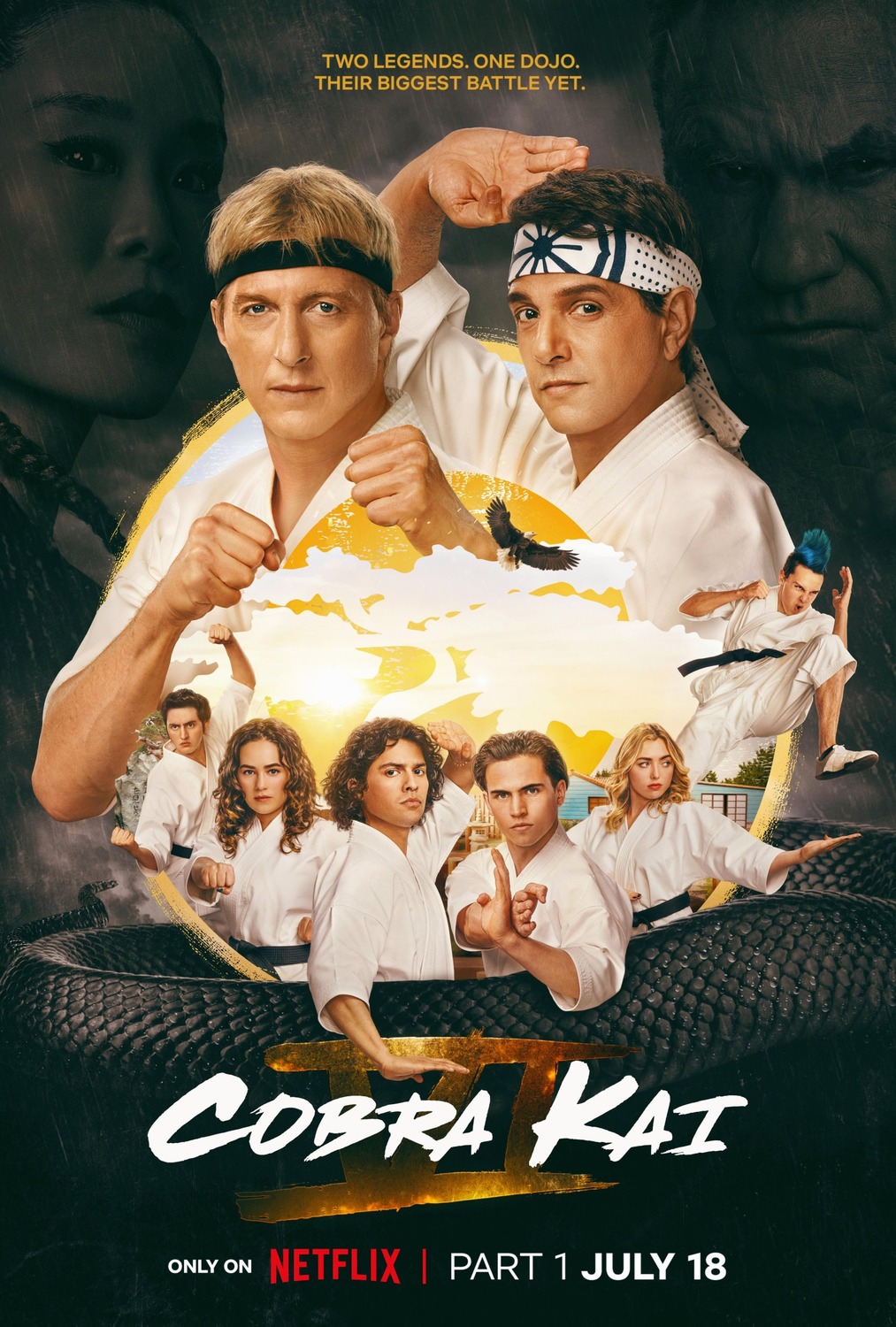 Extra Large TV Poster Image for Cobra Kai (#21 of 25)