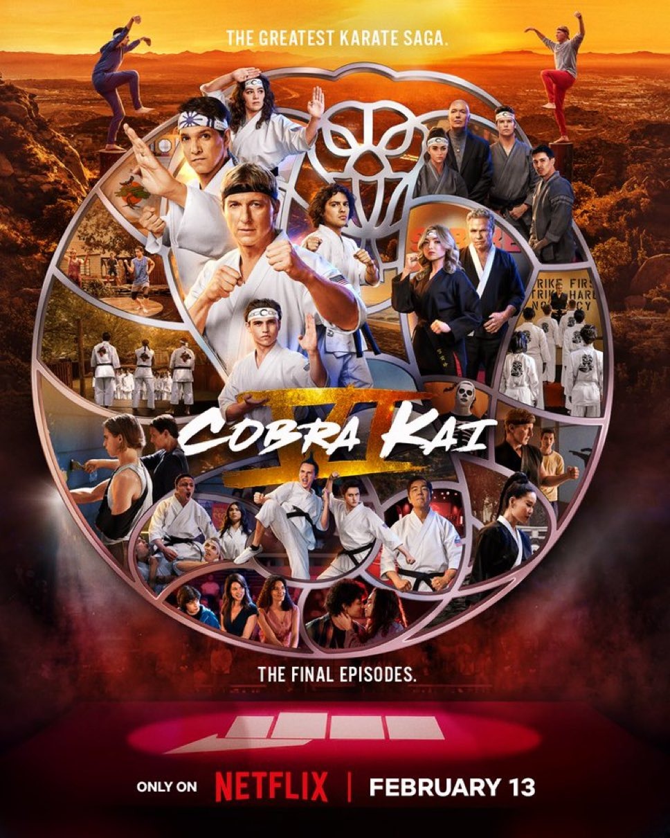 Extra Large TV Poster Image for Cobra Kai (#28 of 28)