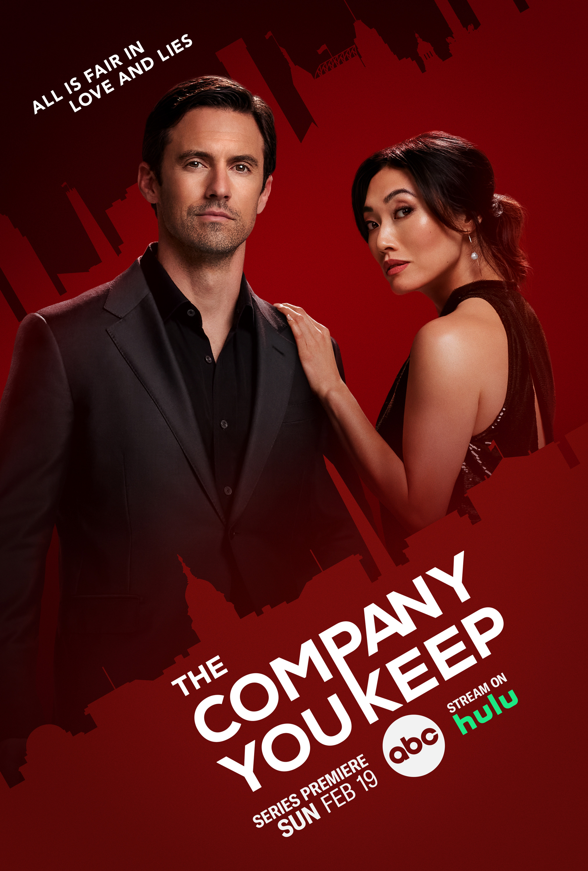 Mega Sized TV Poster Image for The Company You Keep (#1 of 4)