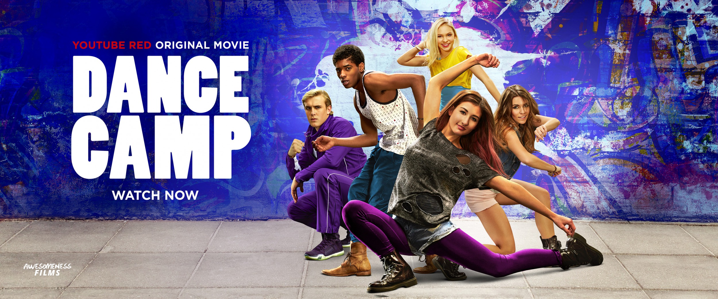Mega Sized TV Poster Image for Dance Camp (#1 of 2)